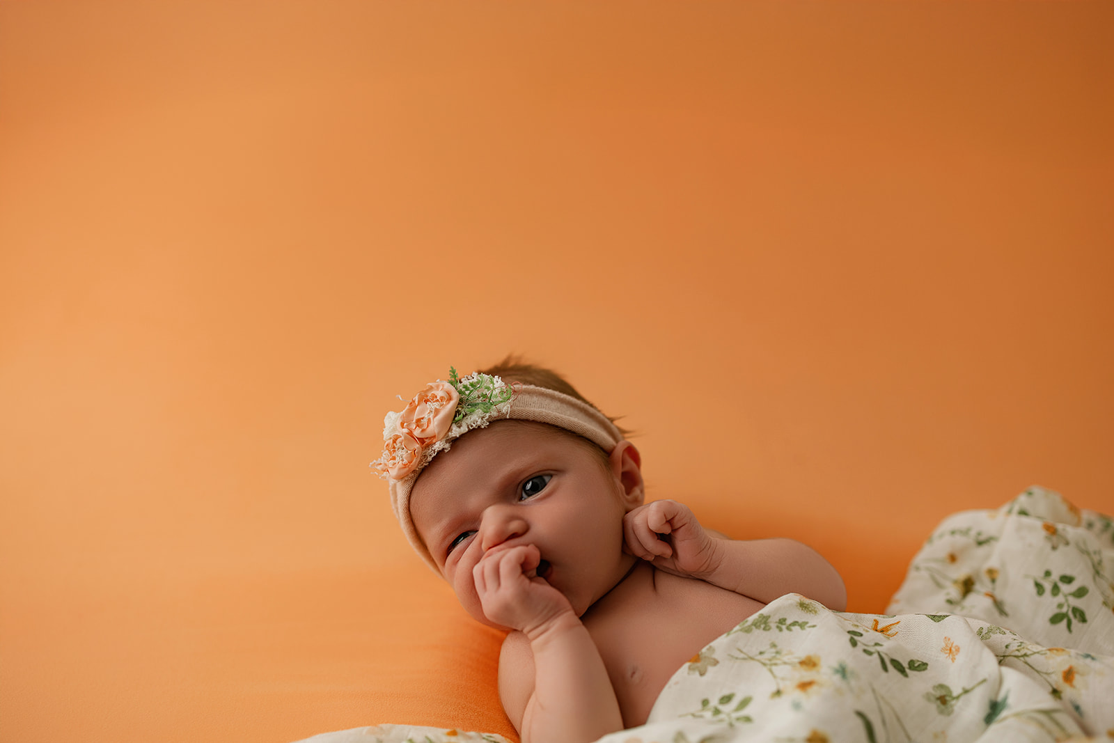 close up of newborn baby resting comfortably during photo session